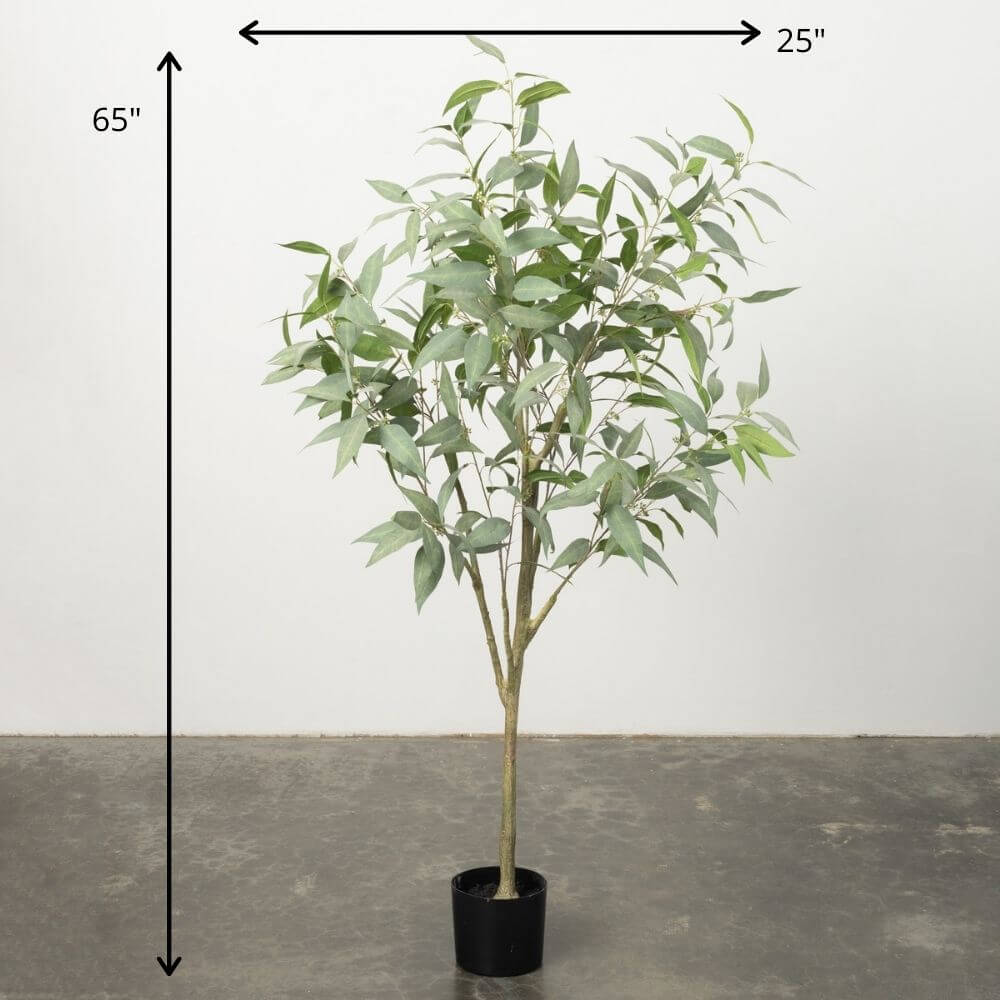Tall Potted Tree