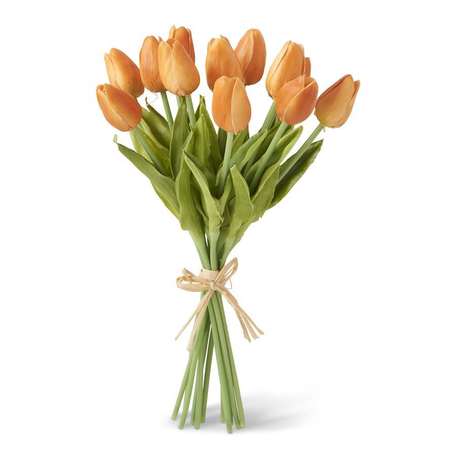 Orange Tulip Bundle