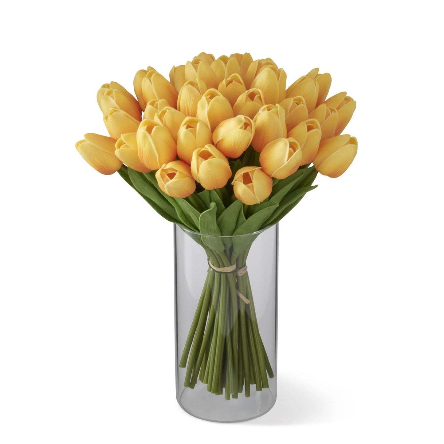 Orange Tulip Bundle