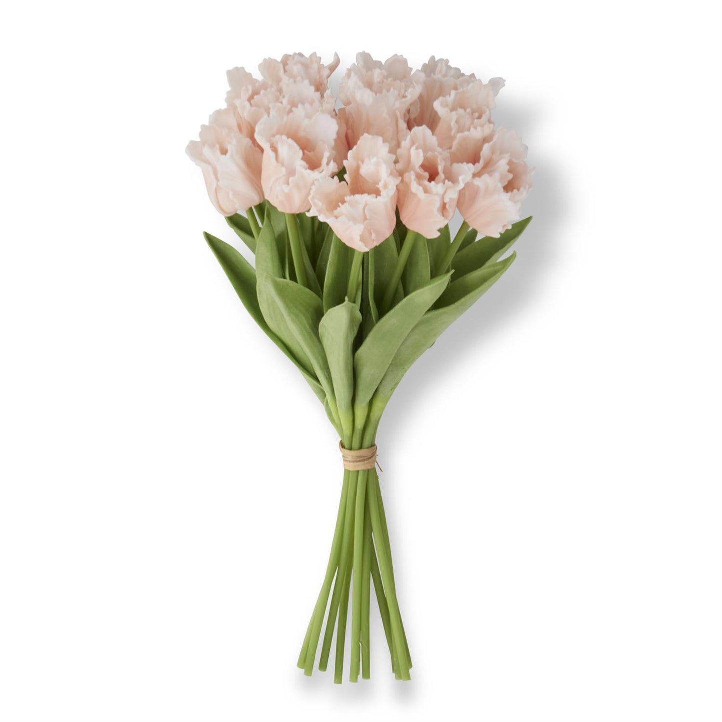 Light Peach Tulip Bundle