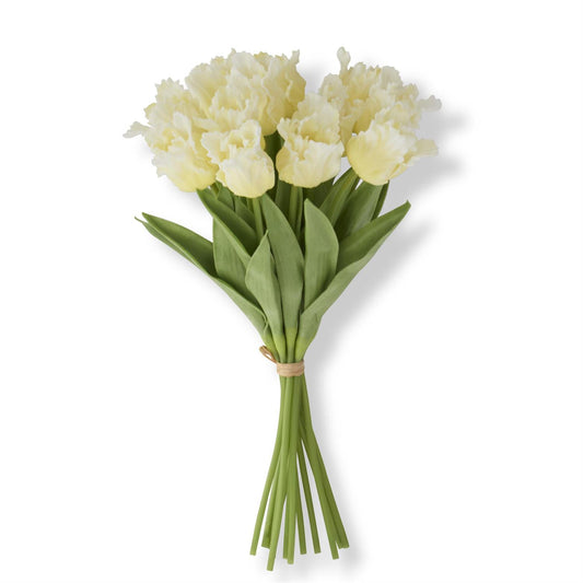 Light Yellow Tulip Bundle