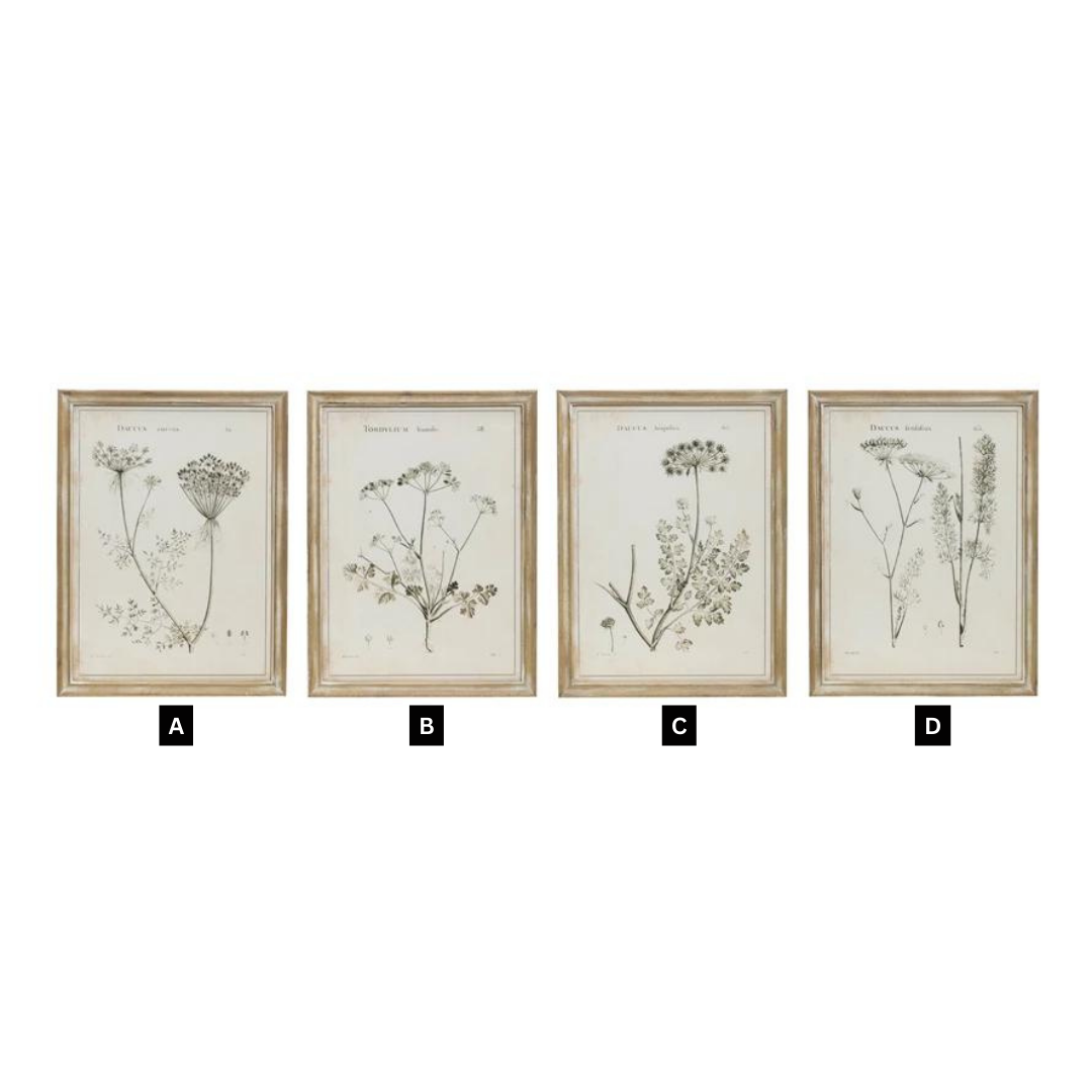 Large Framed Botanical Print