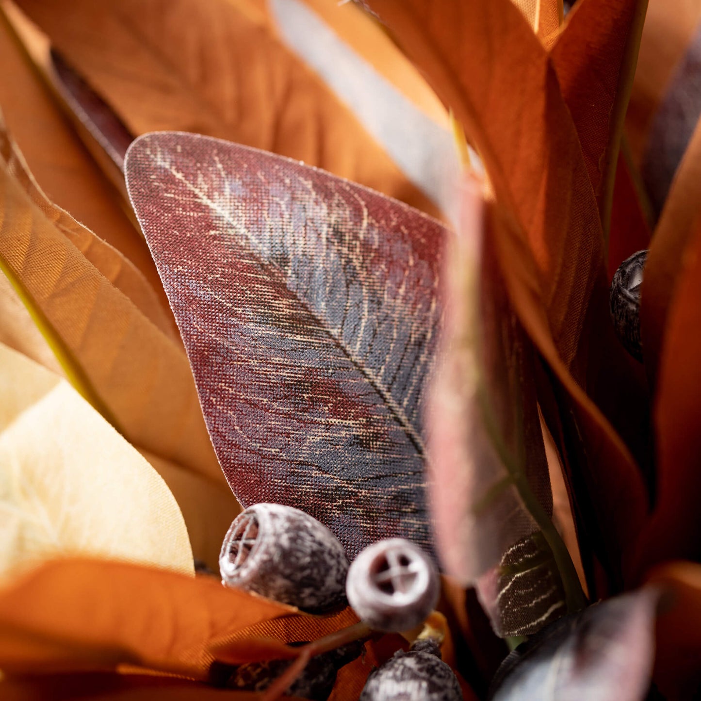 Blade Eucalyptus Bush