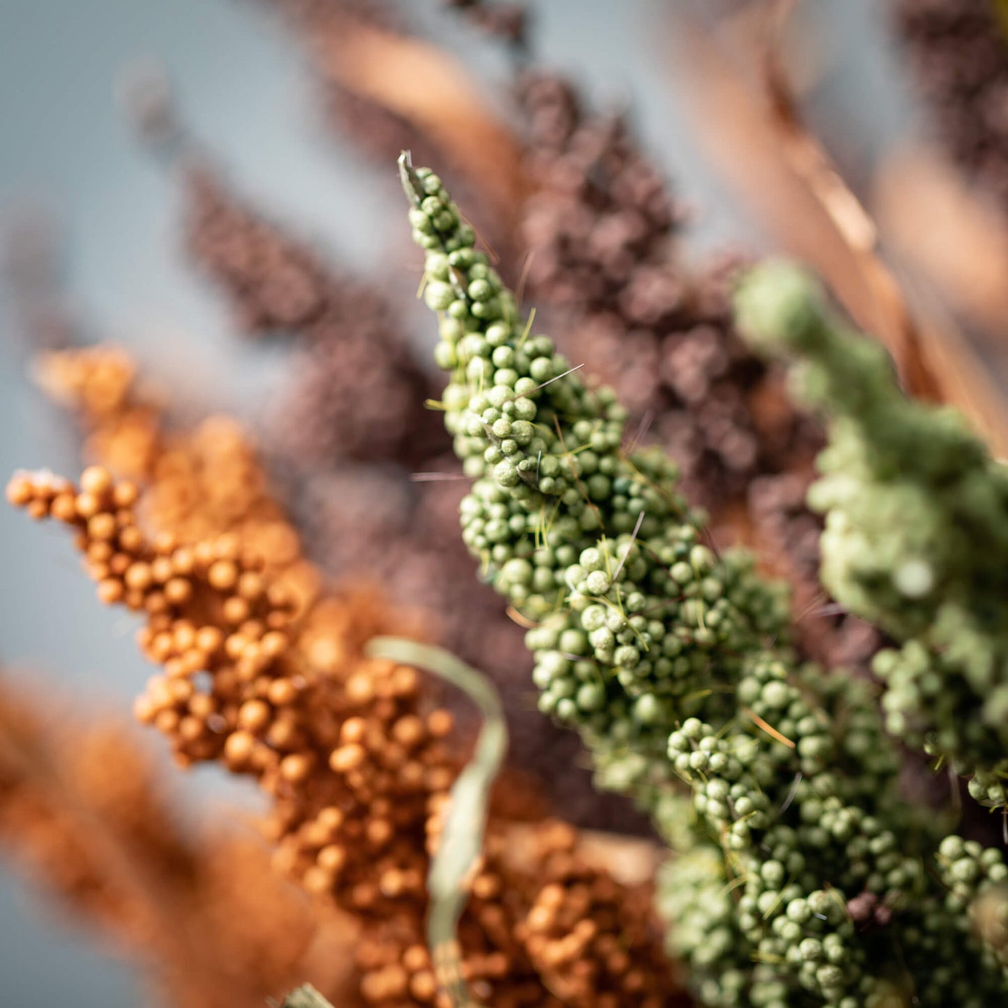 Dried Mini Berry Bush