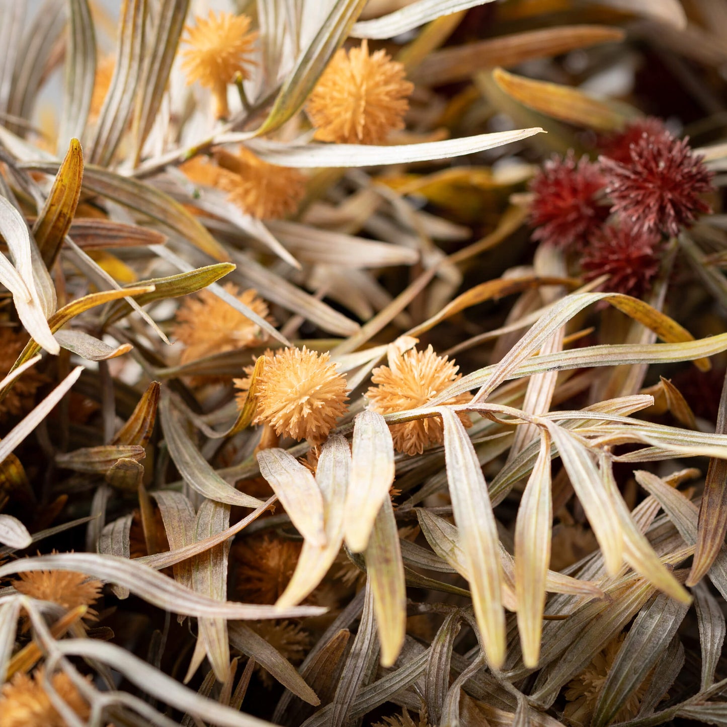 Mixed Grass Bush