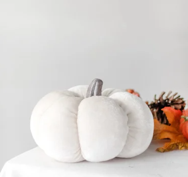 Ivory Velvet Pumpkin