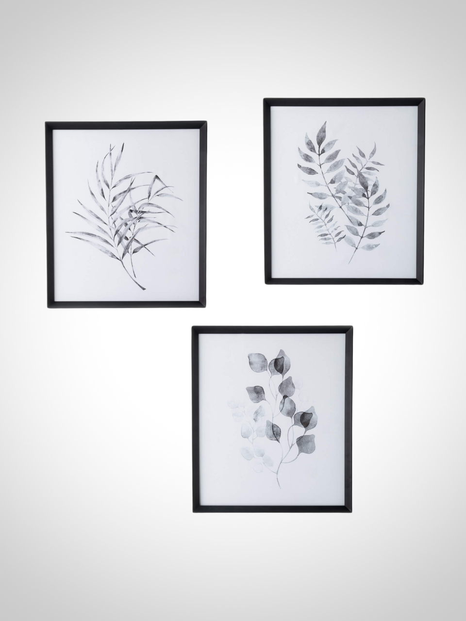 Framed Watercolor Botanical Art