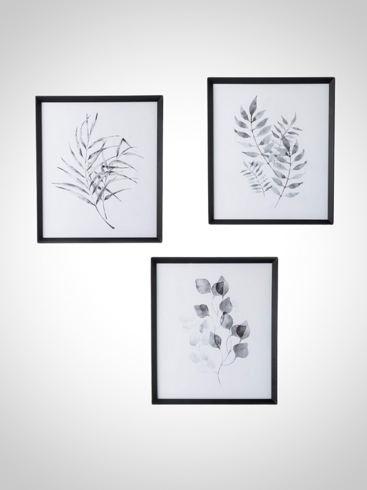 Framed Watercolor Botanical Art