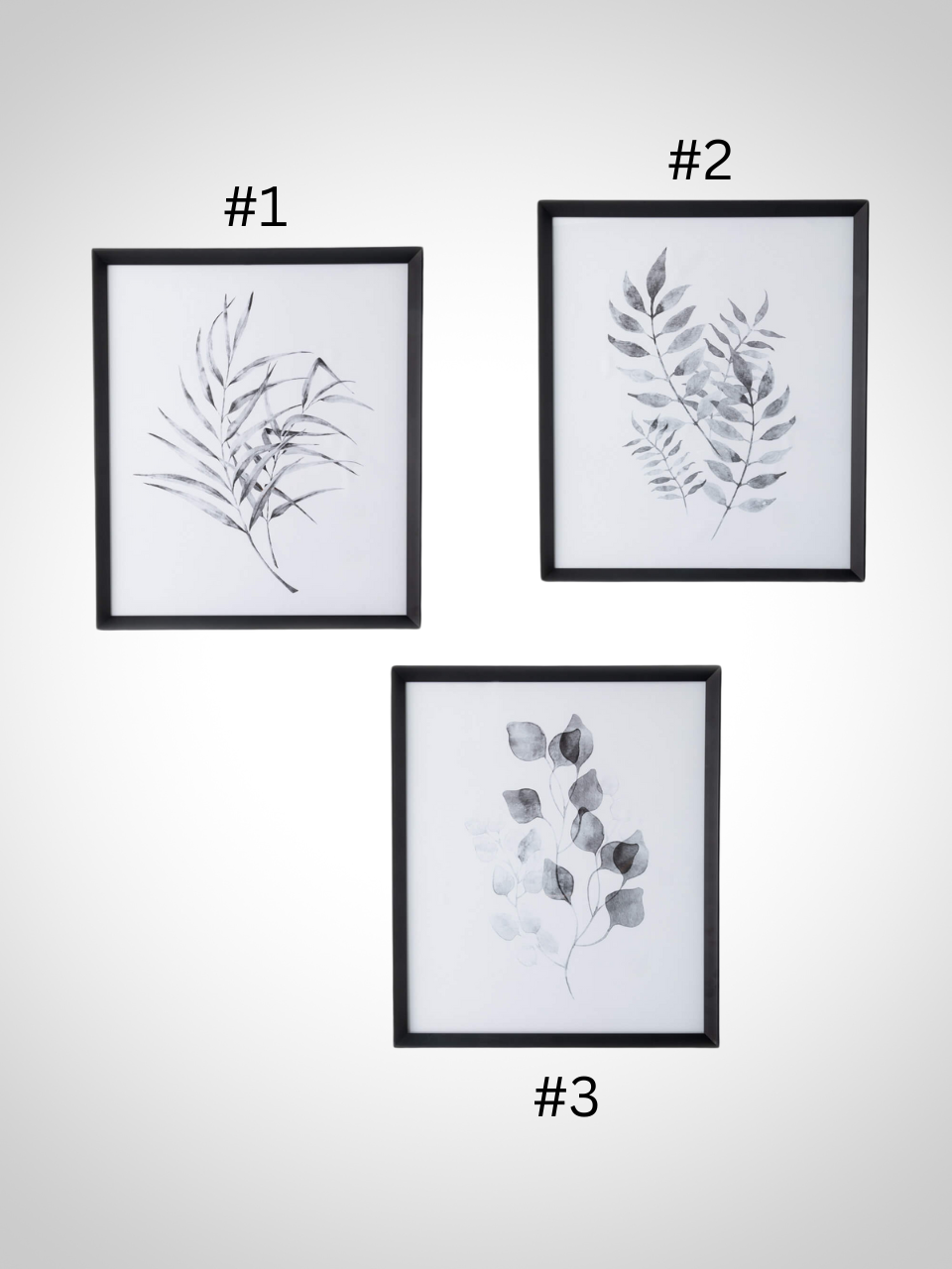 Framed Watercolor Botanical Art