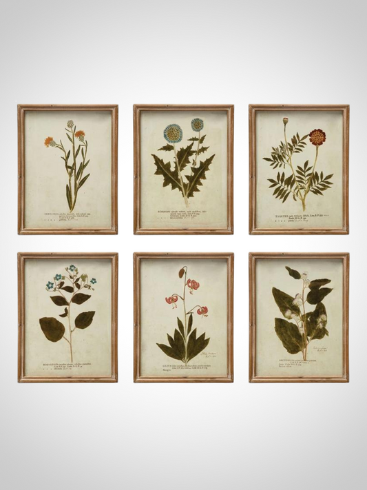 Multi Color Botanical Wall Decor