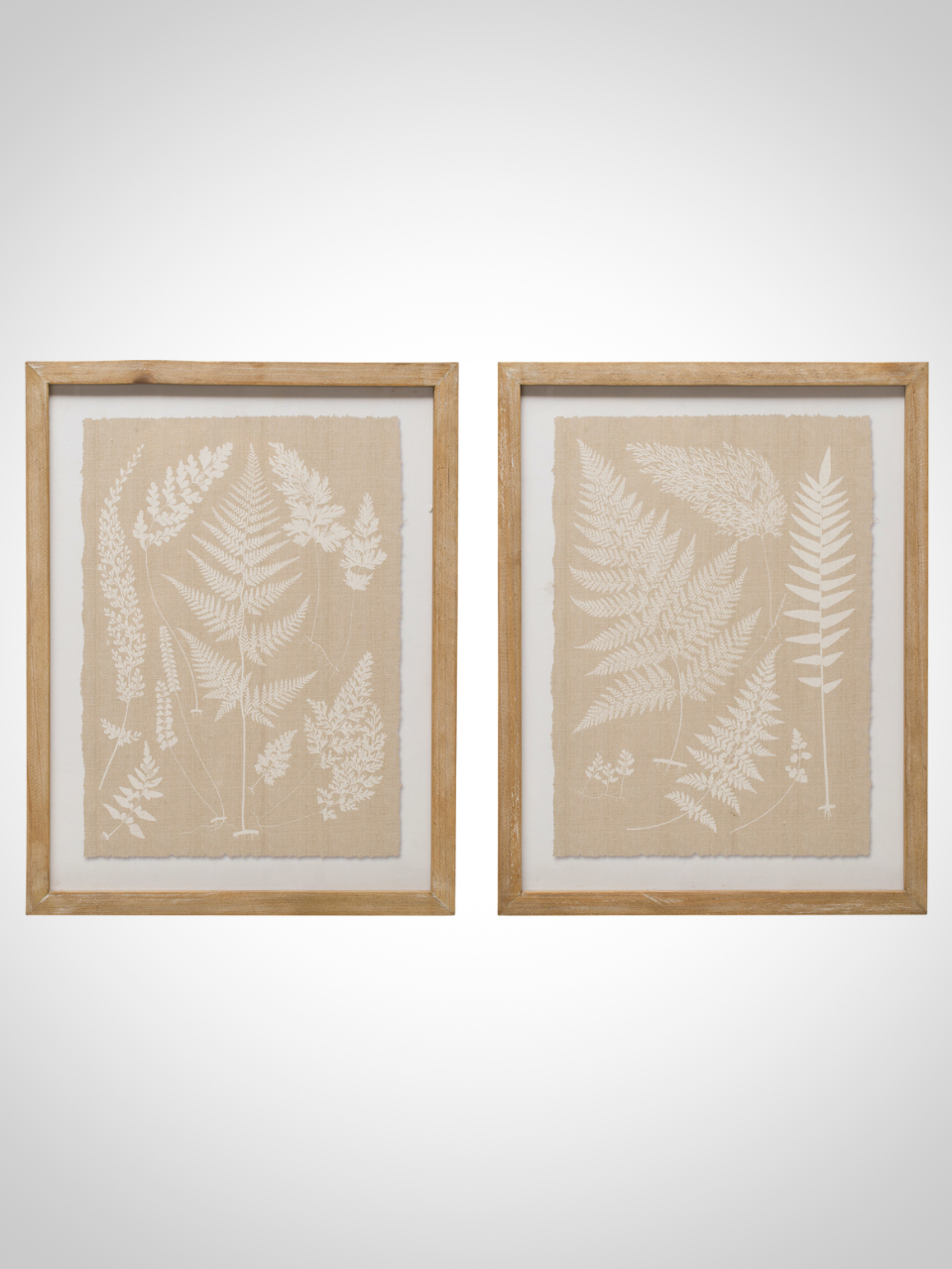 Framed Fern Fronds Wall Decor