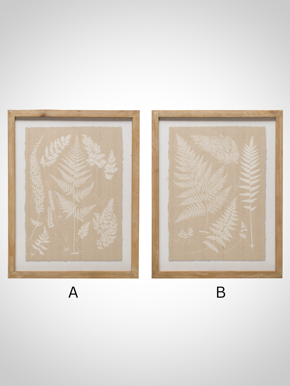 Framed Fern Fronds Wall Decor