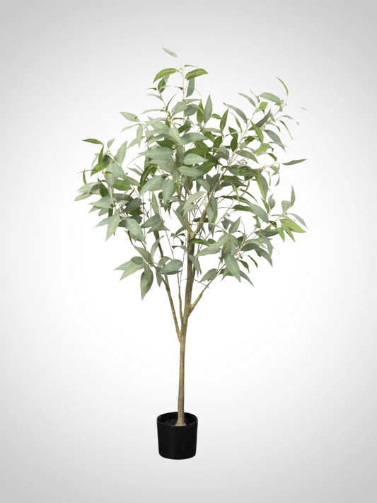 Tall Potted Tree