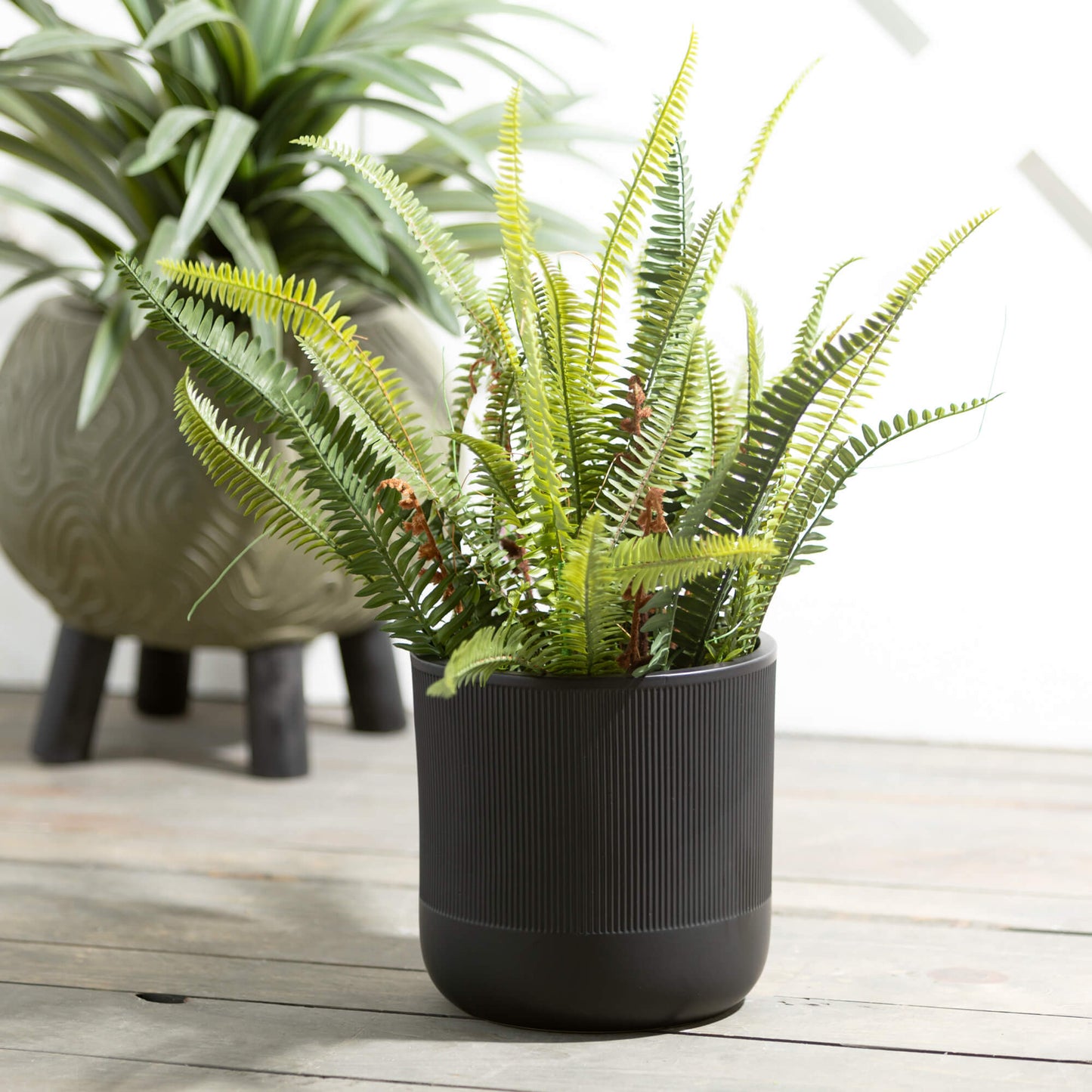 Black Ribbed Pot