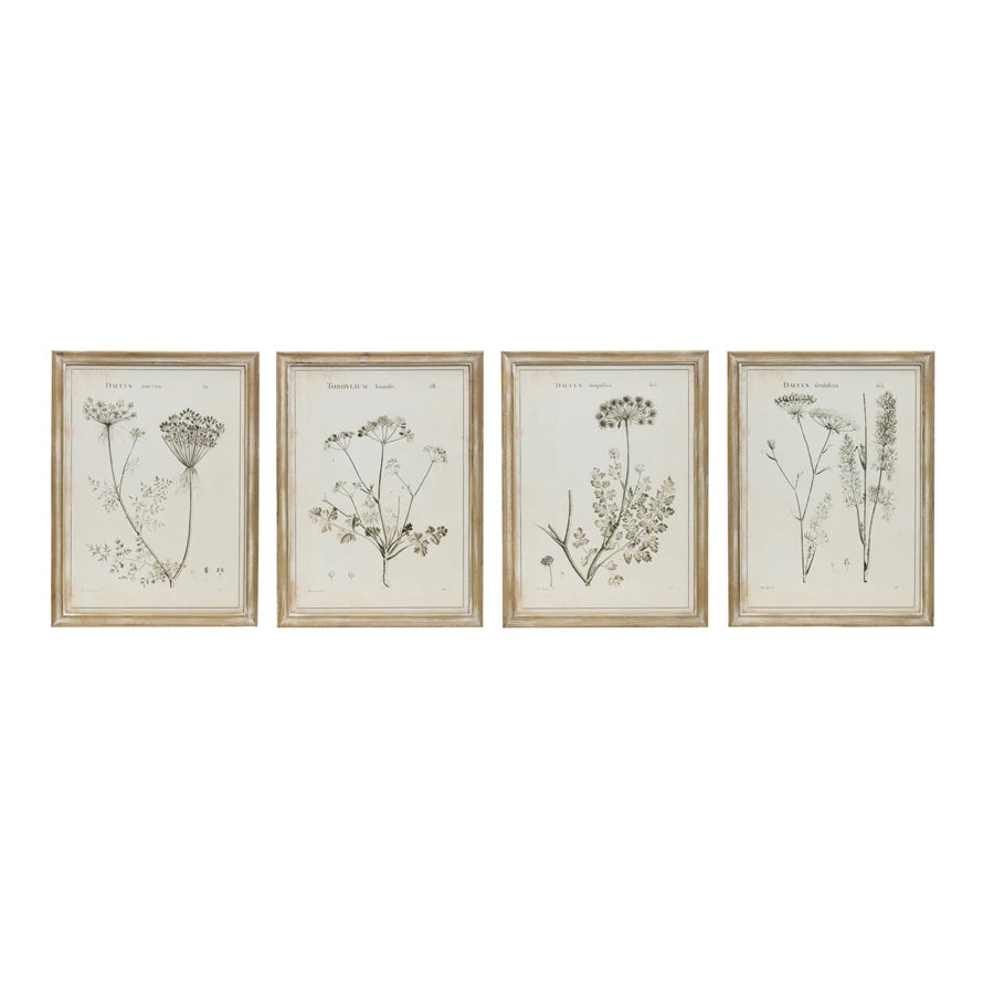 Large Framed Botanical Print