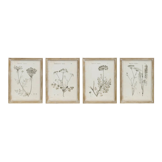 Large Framed Botanical Print