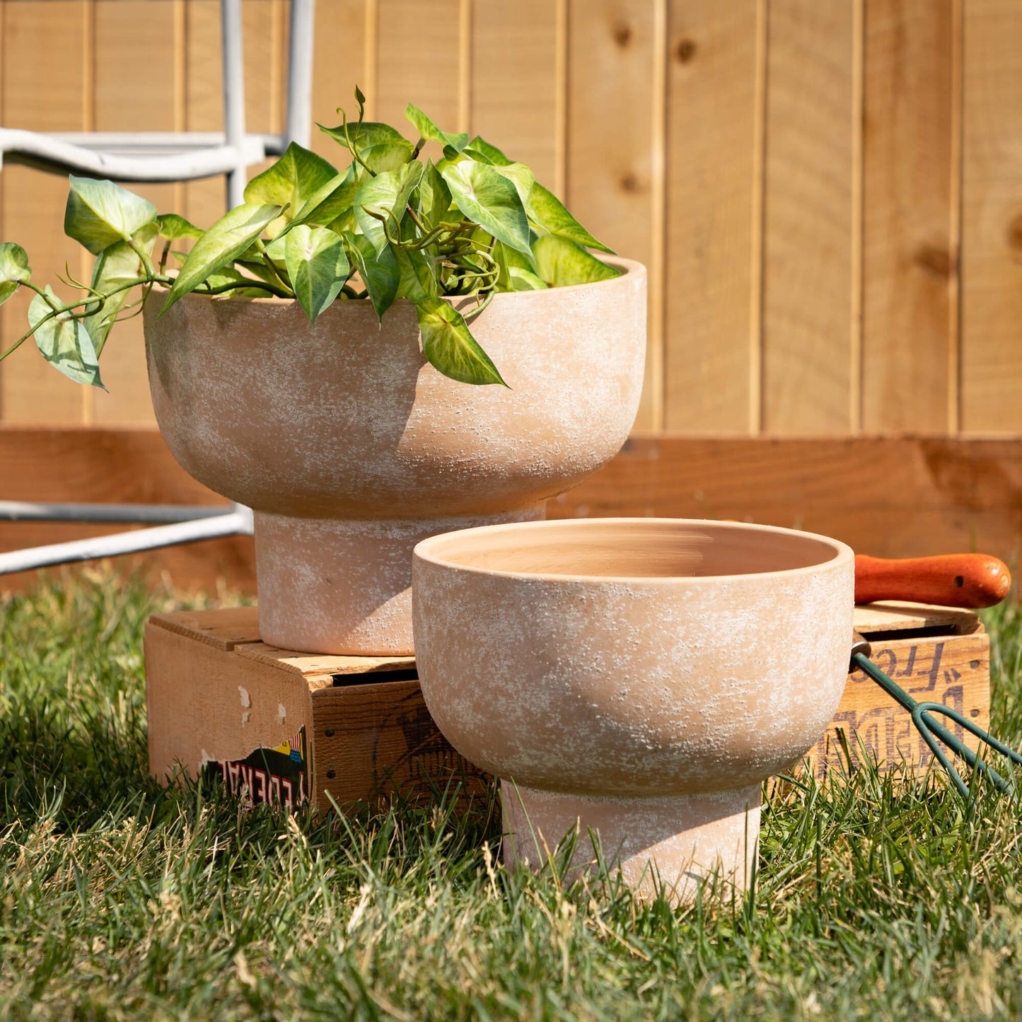 Terracotta Goblet Planter