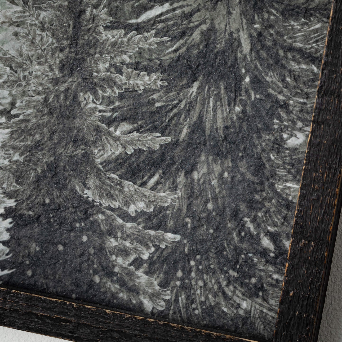 Framed Forest Scene