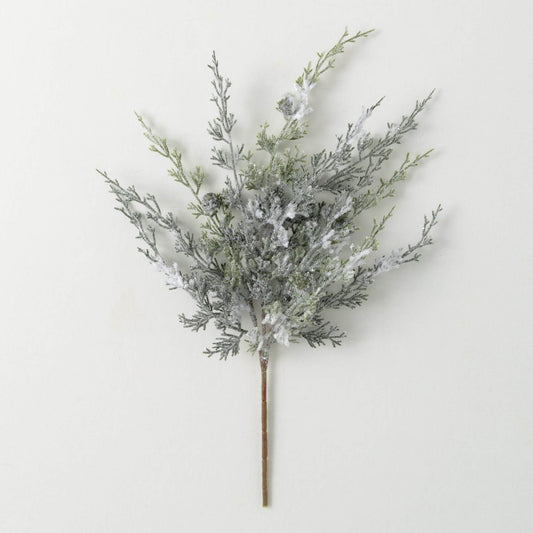 Frosted Cypress Pick