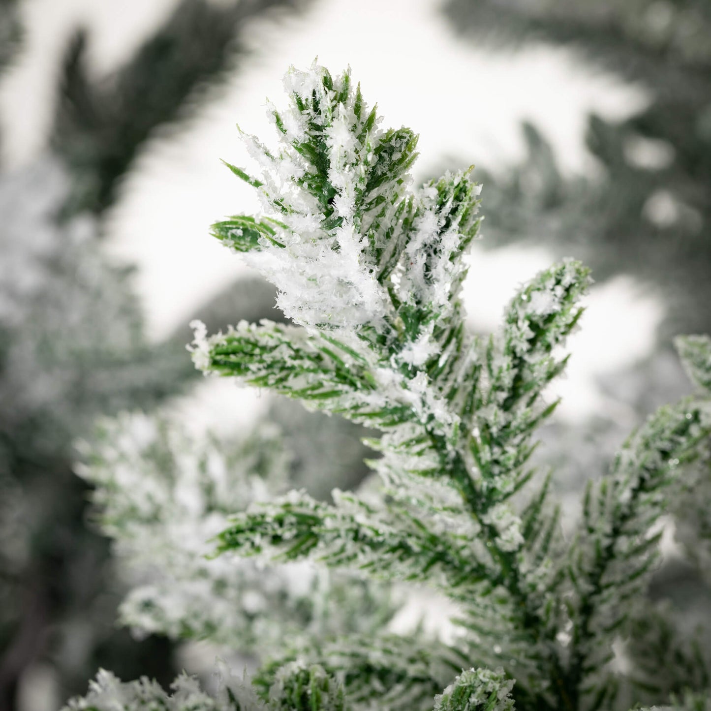 Potted Snowy Pine Tree