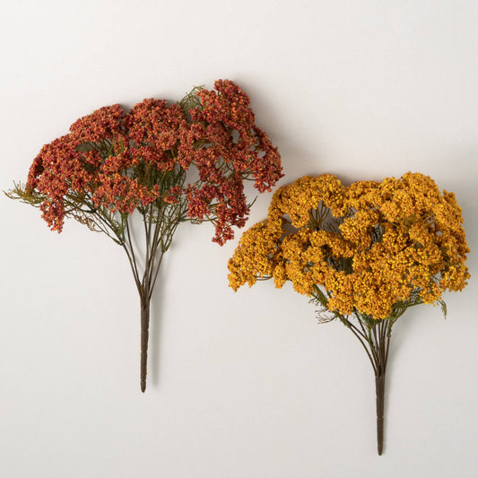 Rustic Yarrow Bush