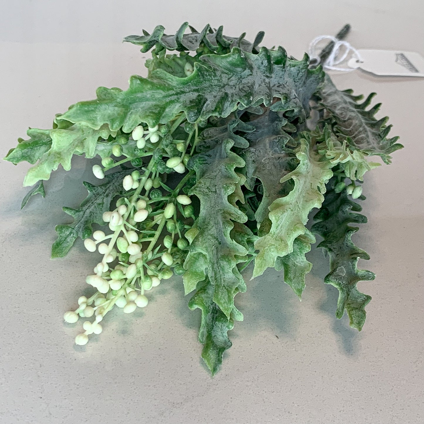 Ribbon Fern Bush with Berries