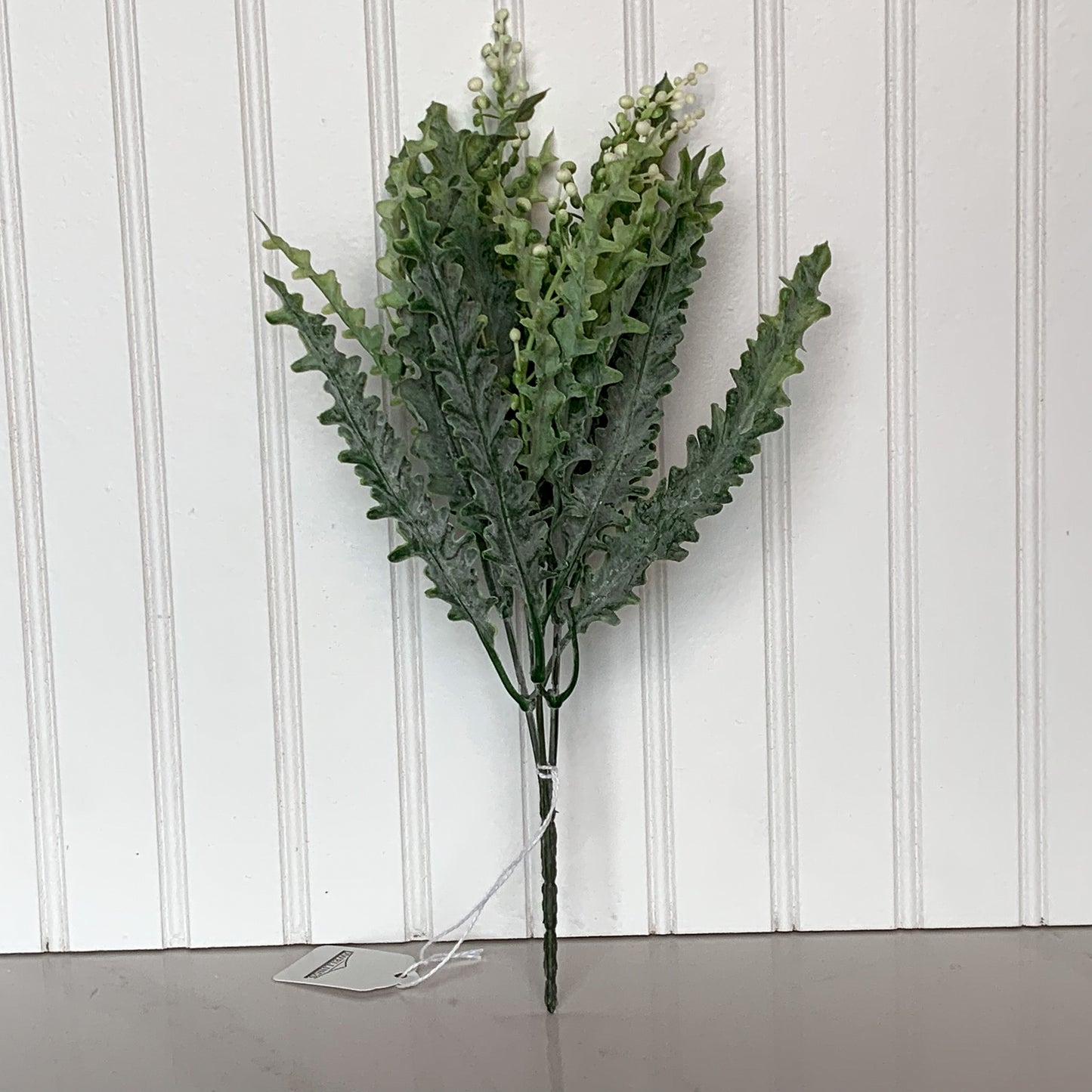 Ribbon Fern Bush with Berries