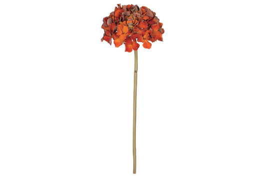 Rust Hydrangea Stem