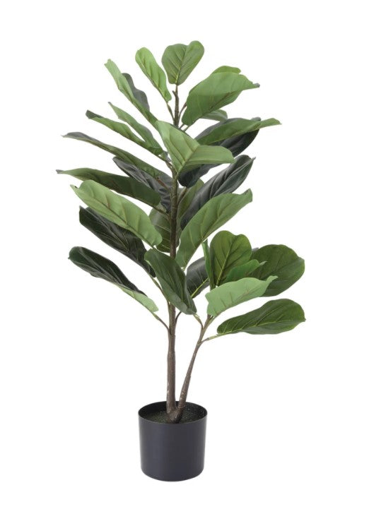 Fiddle Leaf Fig Faux