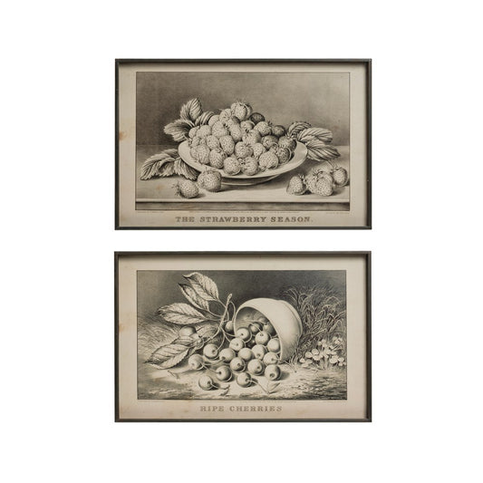 Metal Vintage Fruit Print